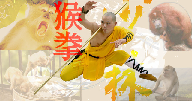 Kung Fu estilo del Mono.