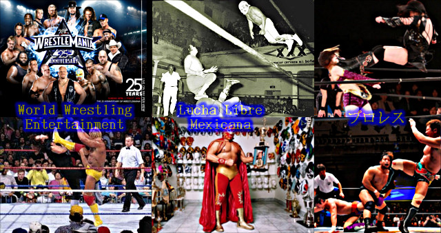 Lucha Libre Profesional de World Wrestling Entertainment, Lucha Libre Mexicana y Puroresu (プロレス).